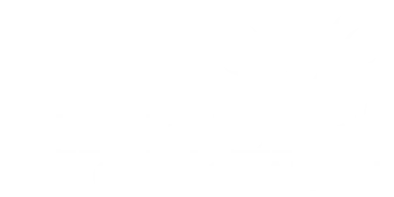 Phoenix Corporation